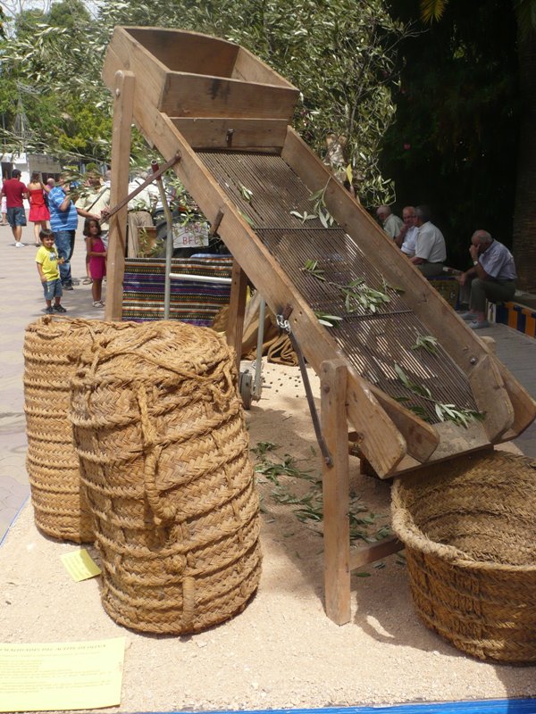 Carroza 2011 - Cogiendo oliva